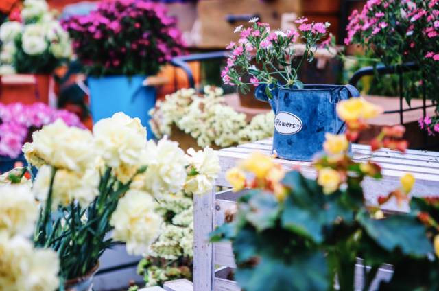 活动｜双11除了买买买，还要去涠洲岛赶赴一场如约的民俗盛会哦！