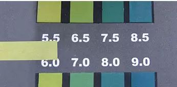 澳洲绵羊油娇嫩补水保湿霜,澳洲高颜值绵羊油