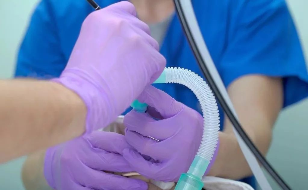 肺泡灌洗液和痰培养的区别,支气管冲洗物与肺泡灌洗液的区别