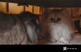 男生对女生来大姨妈有多少误解,女生让男生知道了大姨妈