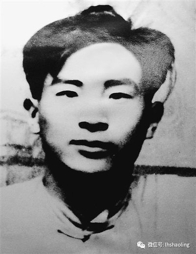 「精彩召陵新闻速览」（2018年第189期）