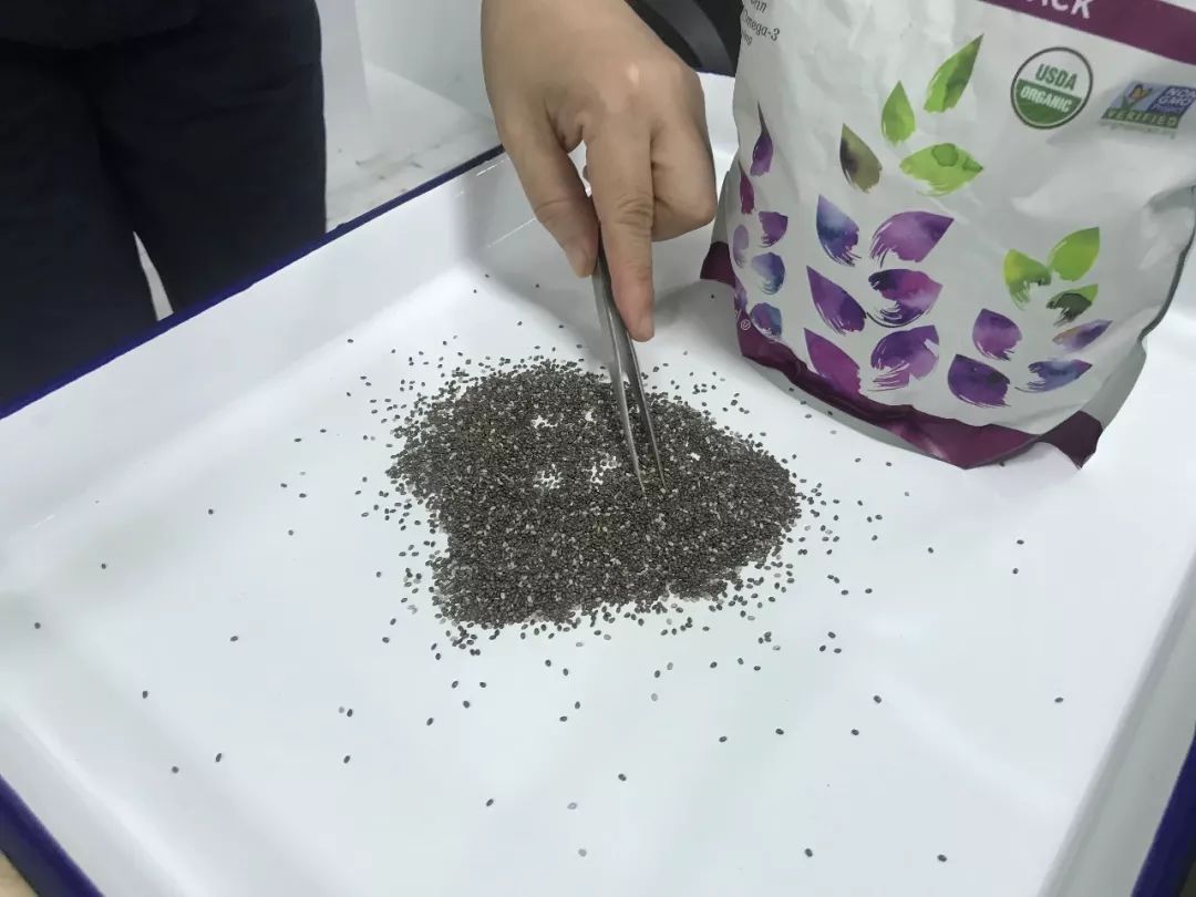 夜读海关|厦门口岸平行进口汽车首破千辆,南通口岸首次截获有害生物中间乳白蚁