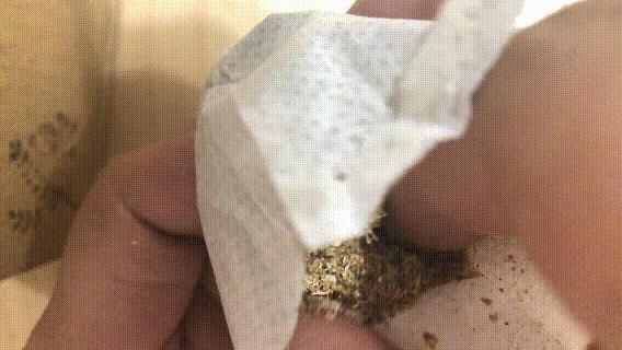 假期结束如何摆脱假期综合症,如何缓解和应对假期综合症