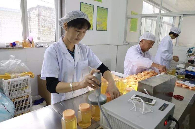 年销售额上亿的电商公司,年销售额10亿的电商公司有多少