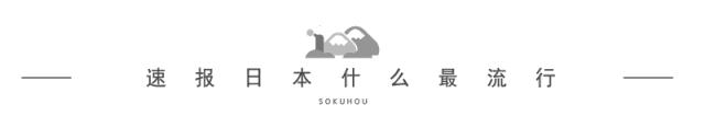 还在羡慕日本妈咪带娃也能美美哒？这些神器还不光速GET同款