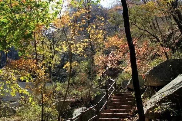 河南秋天最美红叶景区,太美了河南景观