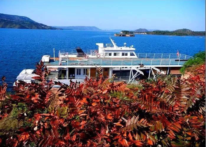 河南看红叶最好的地方,河南红叶最佳观赏时间表