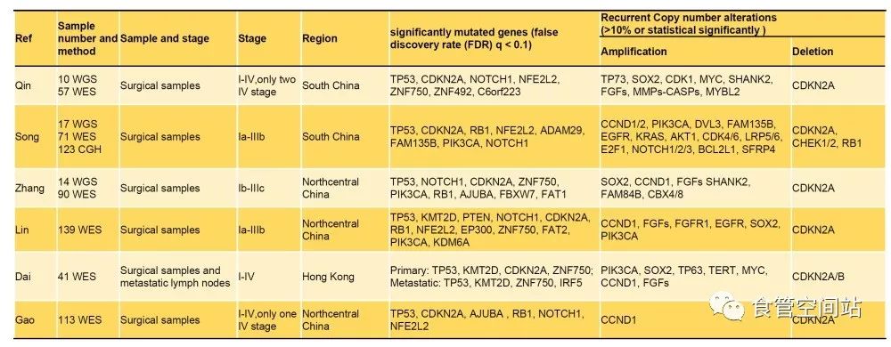 食管鳞癌病例分析,食管鳞癌会基因突变吗