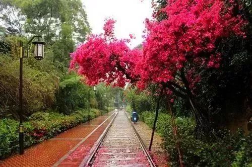 带你看美丽的厦门海边美景,厦门海洋最美丽的风景