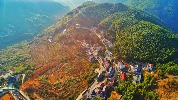 湖州森林覆盖率多少,森林覆盖率达到24.1%