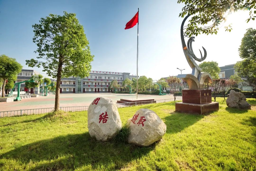 体现素质教育成果的照片,展现教育新变化的图片