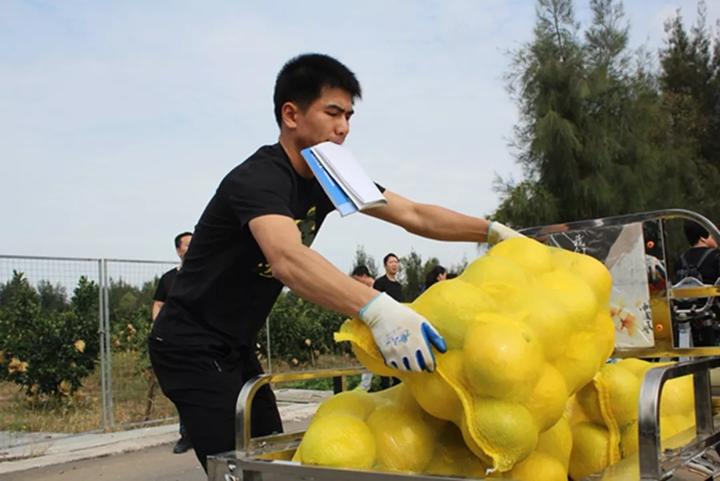中华第一名柚,柚子中华第一柚