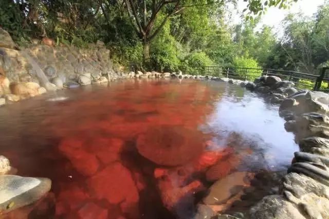 红河州泡温泉附近哪里好玩又便宜,红河弥勒温泉推荐