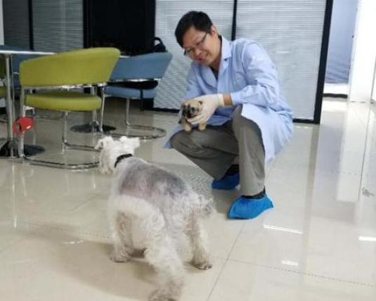 克隆犬有同一个意识吗,克隆宠物的相似度