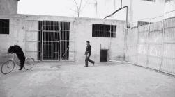 马戏团老虎逃脱后死亡,马戏团老虎脱逃最新结果