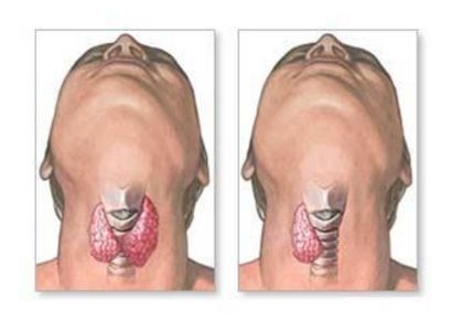甲府事件真假,甲府事件可信度