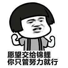 锦鲤用英文该怎么表达,锦鲤的英语是什么怎么写