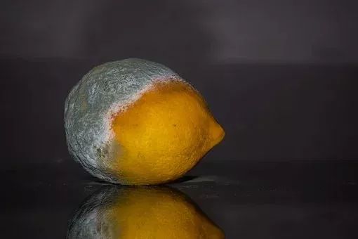 奶奶给孙子吃过期食品吃出事,奶奶误给孙子吃鱼中毒