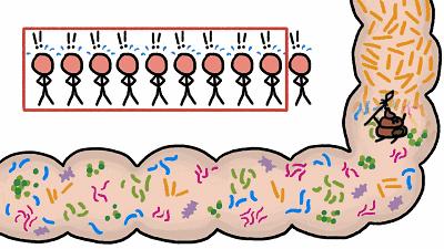 这是一份千年古泉水带来的春季崇高礼遇！（文末福利）