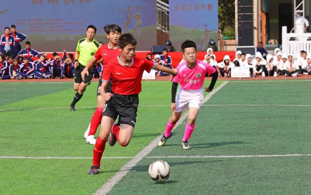 2023年全国有哪些重大活动,全国性重大活动