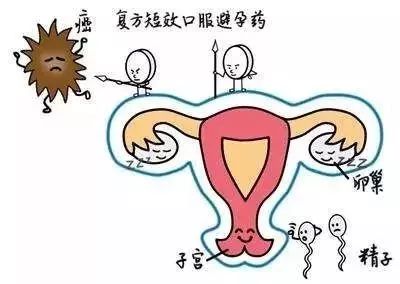 吃紧急避孕药怎么知道避孕失败,总被误解的避孕药这些你要知道