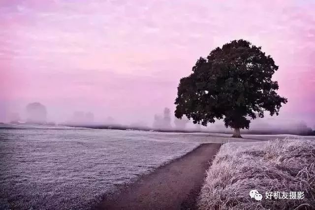 富士xt30单反拍照构图方法和技巧,尼康d5300单反相机如何构图拍照