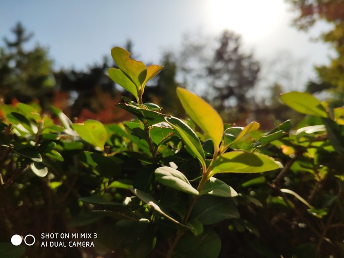 小米mix3优缺点,小米mix3优缺点深度评测