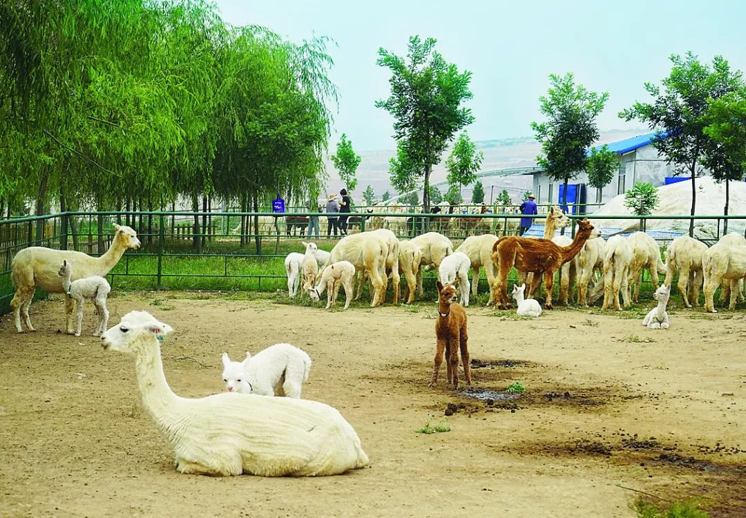 鏃朵唬鏂颁汉閭撴槙,閭撴槙閲嶅簡