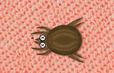 肉眼可见的除螨效果，日本爆款除螨贴，24小时不间断，除螨率高达97%