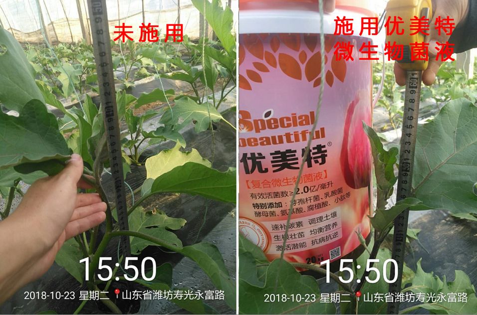 优美特水溶肥料价格,优美特化肥