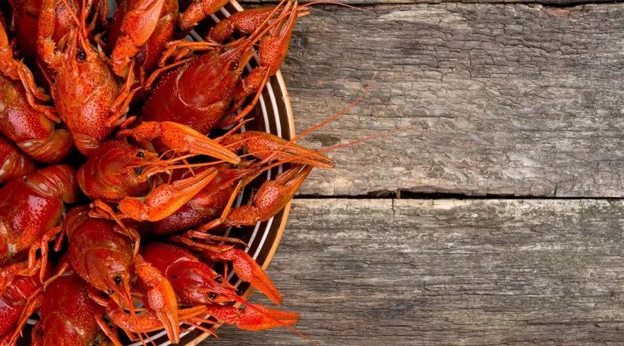 酵素能抗癌防癌吗,真的没有食物能治愈癌症吗