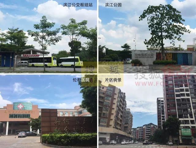 顺德伦教新城最好的楼盘,佛山伦教楼盘二手成交价