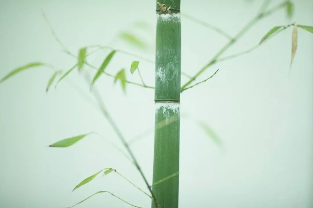 神奇的中文10人读9人读错,神奇的中文十人有九人读错