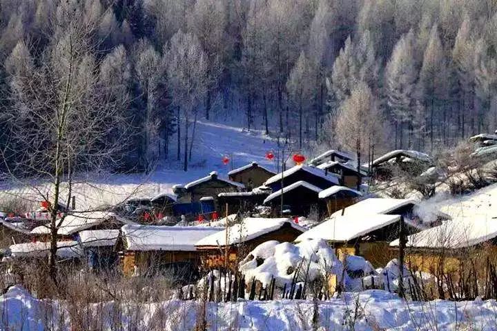 刘烨一家三口野外生活,刘烨旅游