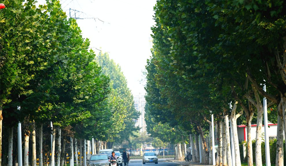 2021科技创新百强县沭阳,江苏省沭阳县全国百强县排名