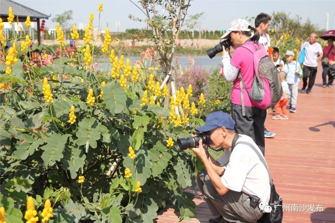 Letsgo！东涌农业生态旅游推广节最后一天~美食花海表演等着你