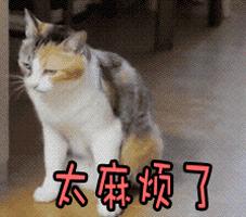 手机号码用了5年以上的福建人快看！喜讯来了！现在知道还不晚！