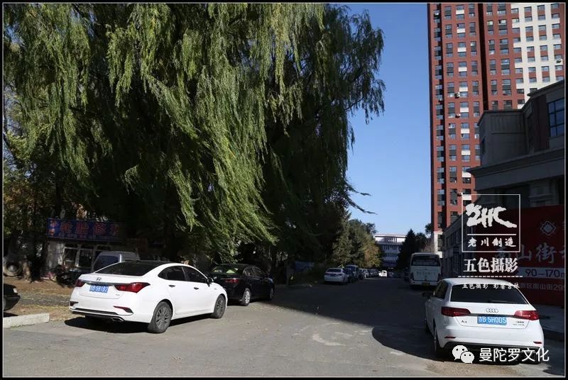 吉林市吉丰东路街景,吉林市吉丰路拍摄视频