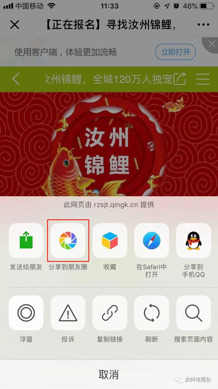 你报名成功了吗,汝州锦鲤