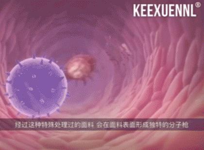 刘嘉玲用的是什么塑身内衣,刘嘉玲穿什么背心