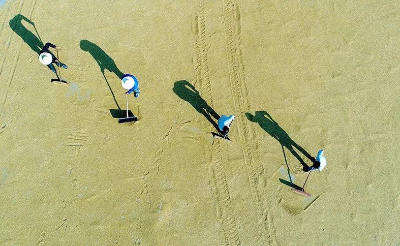 航拍蚌埠,航拍超震撼的蚌埠淮河大桥