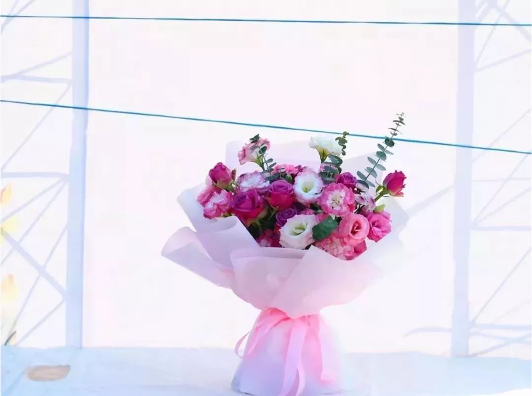 体育中心看展菊,在体育中心玩乐的一天