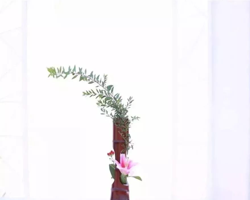 体育中心看展菊,在体育中心玩乐的一天