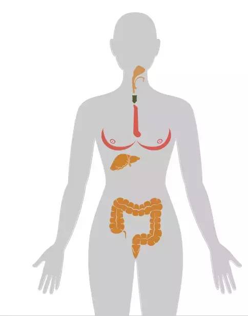20个癌症的真实案例,13种癌症最新研究报告