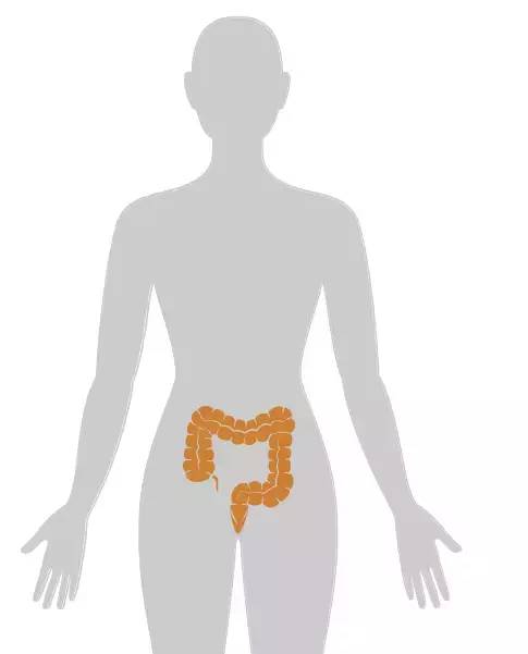 18张癌症人体地图，揭秘致癌真相！