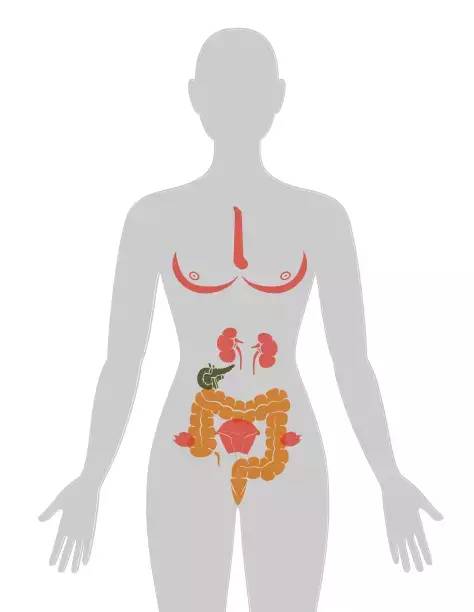 20个癌症的真实案例,13种癌症最新研究报告