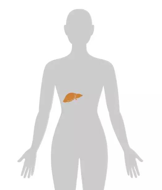 20个癌症的真实案例,13种癌症最新研究报告