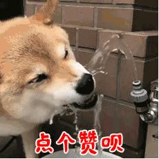 “黄鳝门”事件女主角：刚开始心里抵触，两个月赚9万