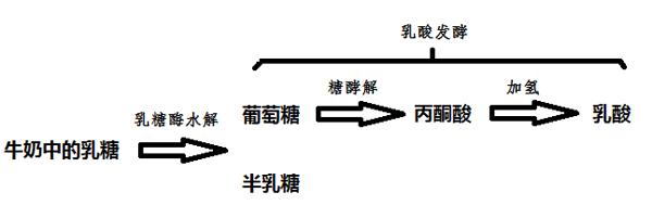 酸奶是怎样制成的视频,酸奶是怎样制成的原理