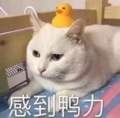 45批次化妆品抽检不合格名单,最近批次化妆品不合格